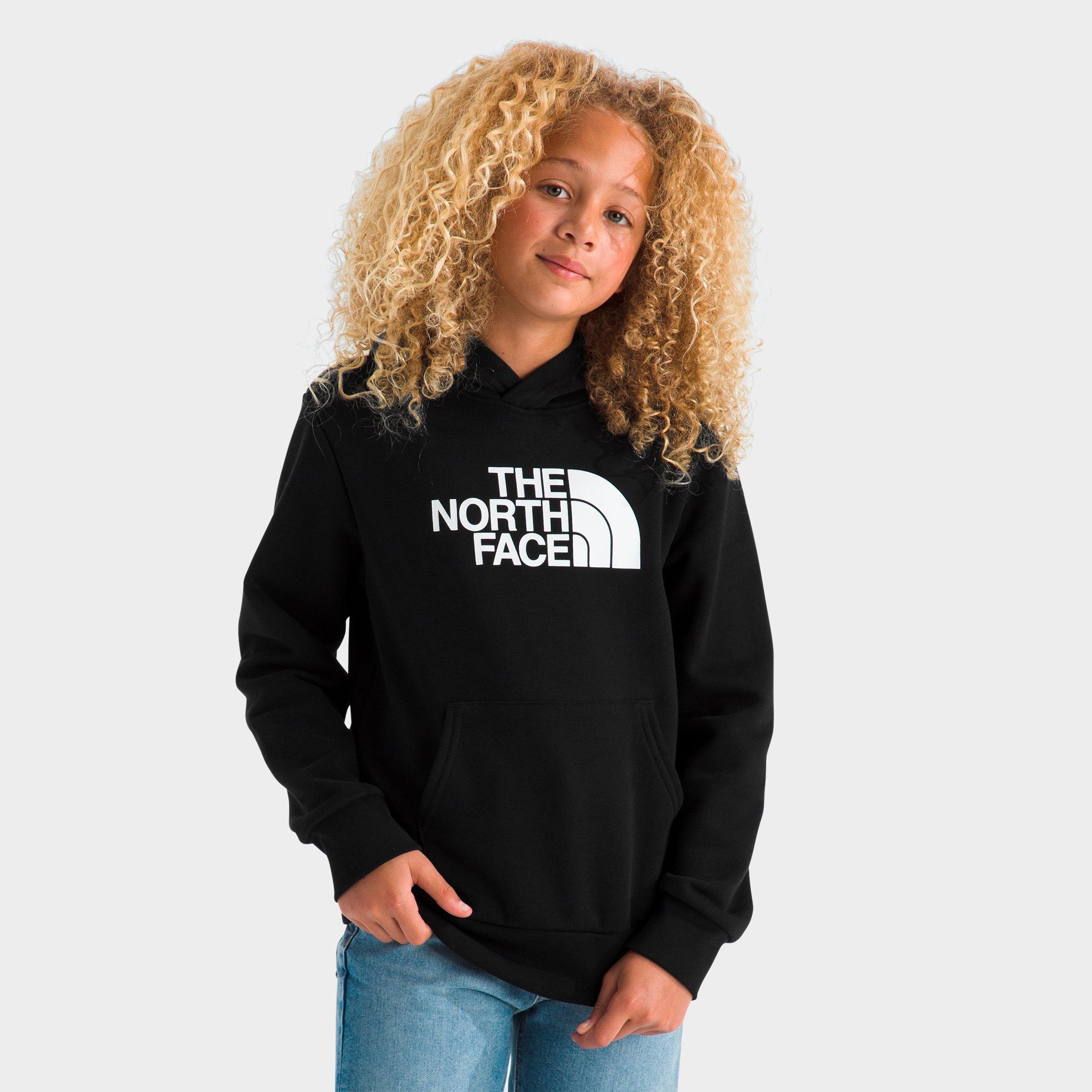 The North Face Evolution Half Dome Pullover Hoodie