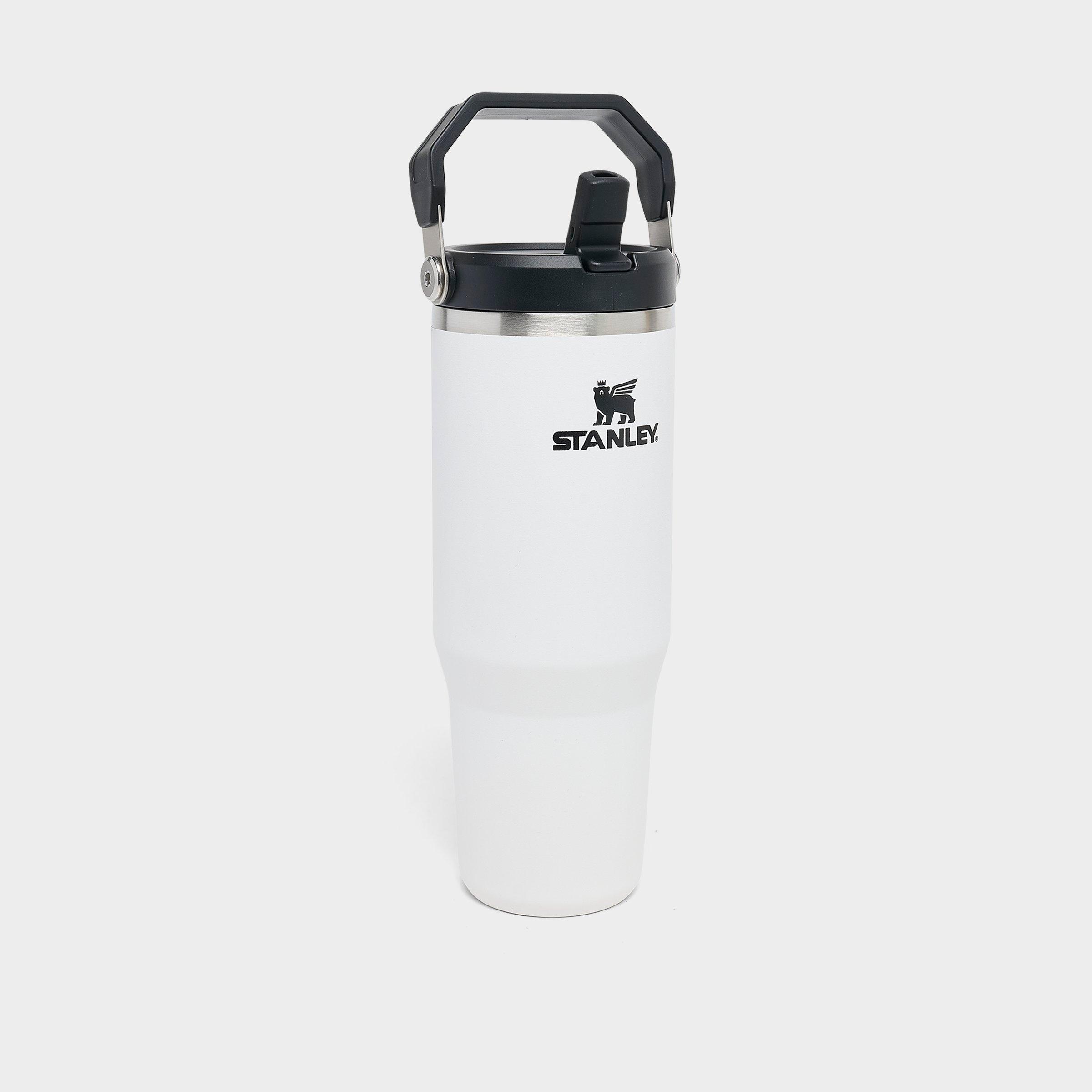 Stanley IceFlow Flip Straw Tumbler (30 oz.)